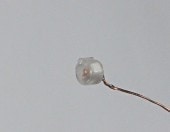 LP42��������������LED�ա�2���åȡ��������Ĥ����ǺࡡN(1/150)��8501