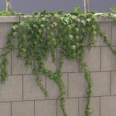 �����ӡ������¹����Ǻࡡ1/35��A-24