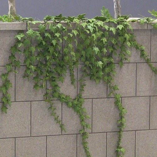 アイビー ：和巧 素材 1/35 A-24 | 植物,草花,人形5cm 1/35～32