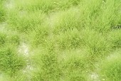 ��Τ�������-˨����ա����ߥ˥ͥ����㡼���Ǻࡡ�Υ󥹥����롡727-21