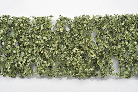 ブナの枝葉 1 45 夏の盛り ミニネイチャー 素材 ノンスケール 9 32 植物 樹木 ノンスケール その他 ショップさかつう Com