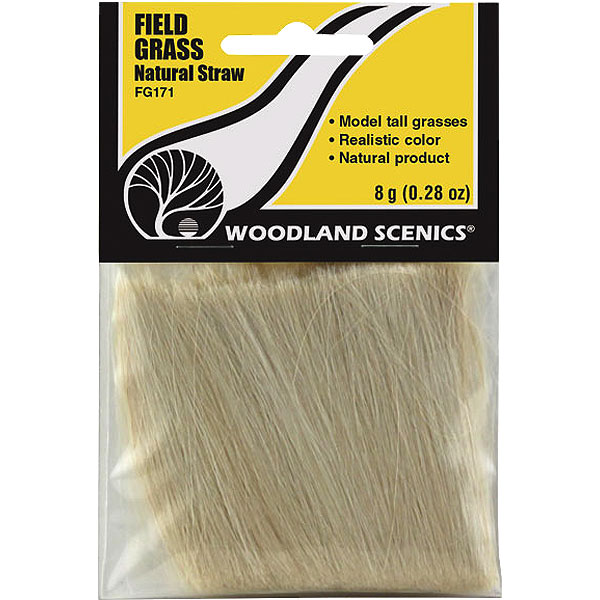 ���ݷ��Ǻ� �ڥե�����ɥ��饹�ۡ�����鿧�������åɥ��ɡ��Ǻࡡ�Υ󥹥����롡FG171