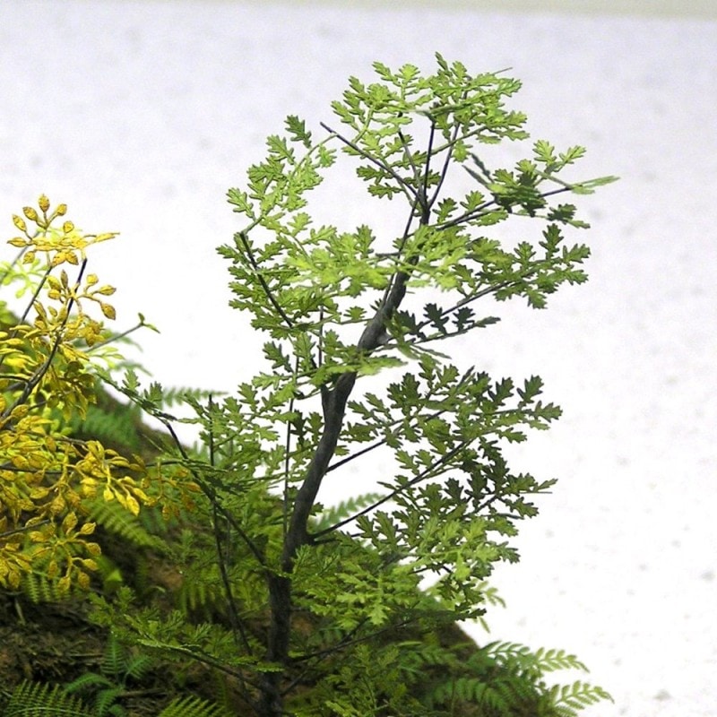 ������(1/48)�����¹����Ǻࡡ1/48��A-5-48