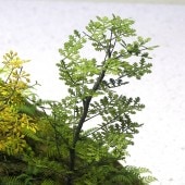 ������(1/48)�����¹����Ǻࡡ1/48��A-5-48