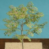 �᡼�ץ�(1/48)�����¹����Ǻࡡ1/48��A-6-48