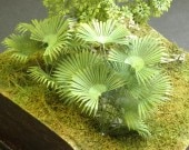 �ӥ��������¹����Ǻࡡ1/35��A-33