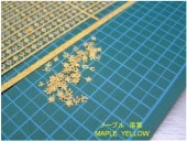 ���ե᡼�ץ�(��)�����¹����Ǻࡡ1/35��B-1