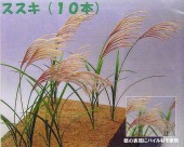 �����������¹����Ǻࡡ1/12��G-13