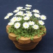�ޡ�����åȡ����¹����Ǻࡡ1/12��G-23