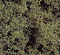 ���ݥ󥸡��С����ܡ����֥å��塡�Ǻࡡ�Υ󥹥����롡7318