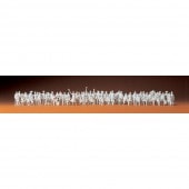 Ŵƻ��������ҡ��̹Կ͡�72�����ꡡ���ץ饤������̤�������åȡ�TT(1/120)��75100