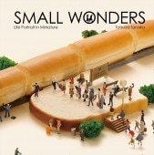 Small Wonders - Life Portrait in Miniature ʥ⡼ˡߥ˥奢饤()9784865050776