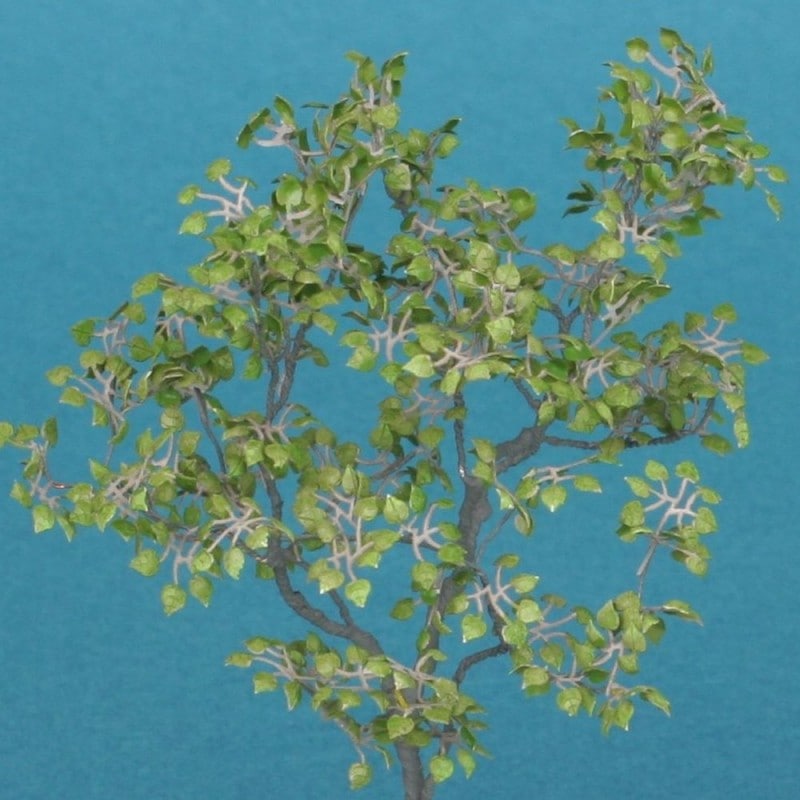 ���ǥ�(1/48)�����¹����Ǻࡡ1/48��A-8-48