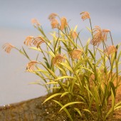 ���������¹����Ǻࡡ1/35��A-13