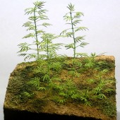 ����������¹����Ǻࡡ1/35��A-19