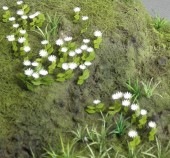 �ҥʥ��������¹����Ǻࡡ1/35��A-35