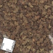 �㿧����(��������/����)�������硼�ե��������Ǻࡡ1/35��105