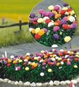 ���ꥢ120�ܤΥ��åȡ����֥å��塡���åȡ�HO(1/87)��1219