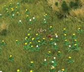 ����ݤݡ����֥å��塡���åȡ�HO(1/87)��1220