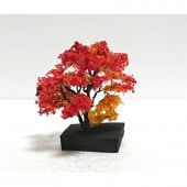 ���ա���7��8cm��������BUNKO��N(1/150)��M1