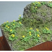 ����ݥݡ����¹����Ǻࡡ1/35��A-37