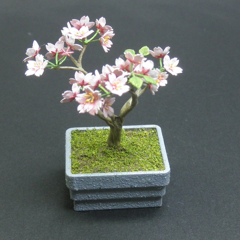 盆栽 さくら ：和巧 素材 1/12 G-29 | 植物,樹木,人形14cm 1/12