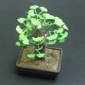 �ߺϡ������礦�����¹����Ǻࡡ1/12��G-30
