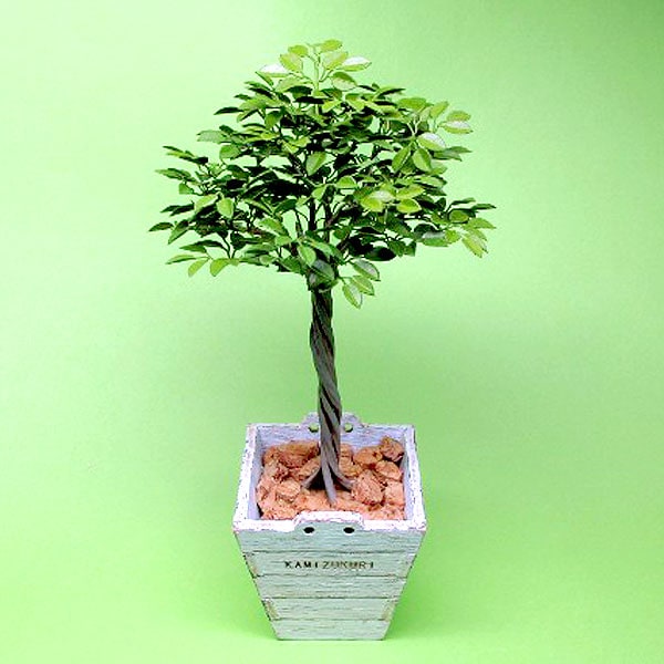 ベンジャミン ：和巧 素材 1/12 G-42 | 植物,草花,人形14cm 1/12