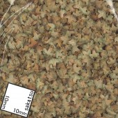 �ĥ����ա������硼�ե��������Ǻࡡ1/35��101