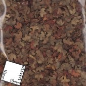 ������(8��)�������硼�ե��������Ǻࡡ1/35��108