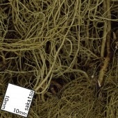 ����󥰥�֥å��塡�����硼�ե��������Ǻࡡ�Υ󥹥����롡118