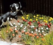 �Х顡120�ܡ����֥å��塡̤�������åȡ�N(1/160)��8105