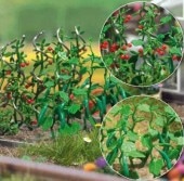 ���夦��ȥȥޥȤΥ��åȡ����֥å��塡���åȡ�HO(1/87)��1214