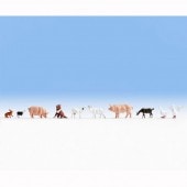 Ҿưʪ10ɤåȡʸǭҥ롢ӡڤʤɡˡΥåۡѴʡN(1/160)36711