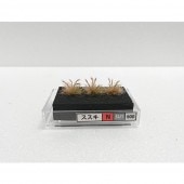 ���Ϸ��ۡ���������N�ˡ���1��1.2cm��������BUNKO��N(1/150)��SU1