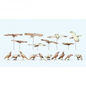 勵ꥬ饹ȥץ饤̤åȡ1/3263335