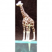 ��ݥ�����޺����ѥߥ˥��奢������󡡡��������ࡡ�����Ѵ����ʡ��Υ󥹥����롡GM8