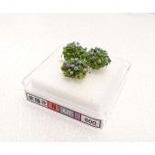 ���Ϸ��ۡ����۲֡����硡��6��8mm��������BUNKO�������ʡ�N(1/150)��AJ1