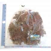 �������ɥ饤�ե�(�����ѡ��ĥ꡼��Super Trees)������ѥå����������Ĥ������åȡ��Υ󥹥����롡1216