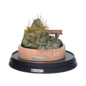 ジオラマ作家の一点物 ★「林道に放置されたミゼット」★ Art Stage K ジオラマ作家の一点物 ☆「林道に放置されたミゼット」☆ Art