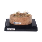 完成ジオラマ,作家作品,Art Stage K | ショップさかつう.com