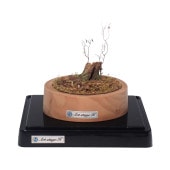 ジオラマ作家の一点物 ★「林道に放置されたミゼット」★ Art Stage K ジオラマ作家の一点物 ☆「林道に放置されたミゼット」☆ Art