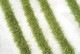 ƻ�褤�μ���-����ˬ�졡���ߥ˥ͥ����㡼���Ǻࡡ�Υ󥹥����롡718-23