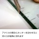 ľ�ѥ��å��구�ߥ�Plus���������դ��˱�����Kamineko@Style����������001