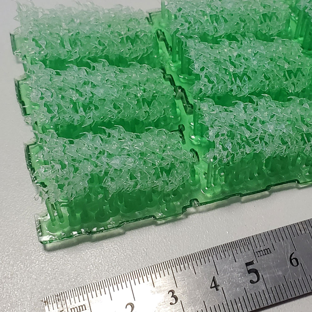 �ꥢ�륰�꡼��Q����Ultrareal24����ʪɽ��3D̤�������åȡ�1/24��1017