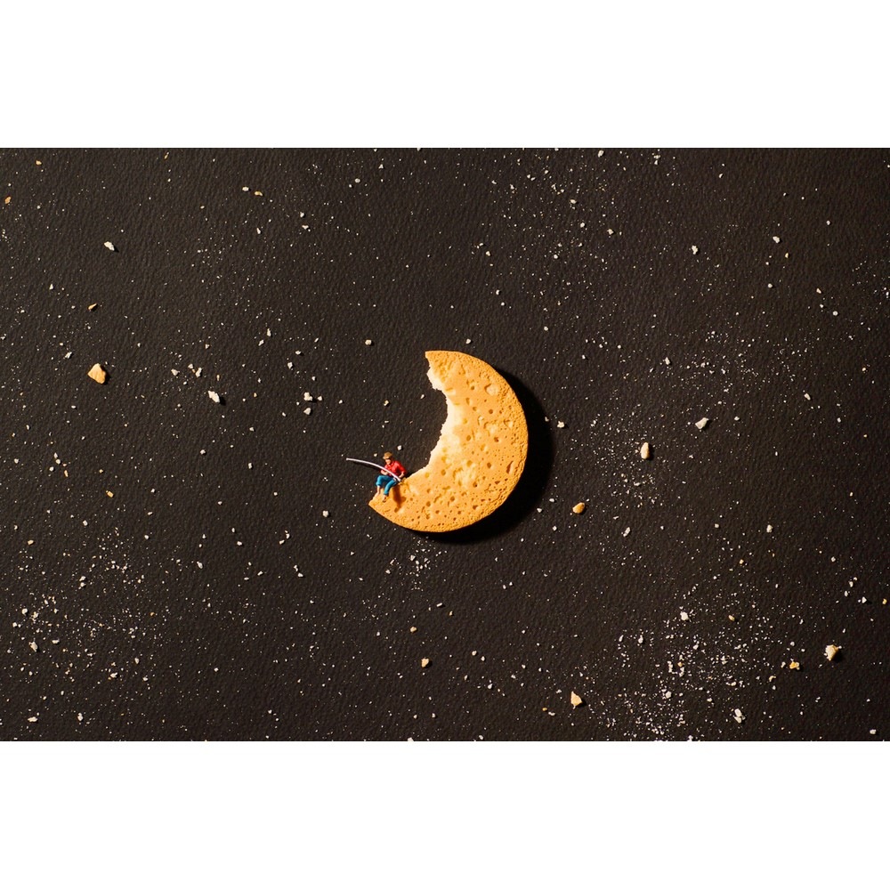 MINIATURE LIFE2�ʥߥ˥��奢�饤��2�ˡ����ߥ˥��奢��������(��)��9784880653815