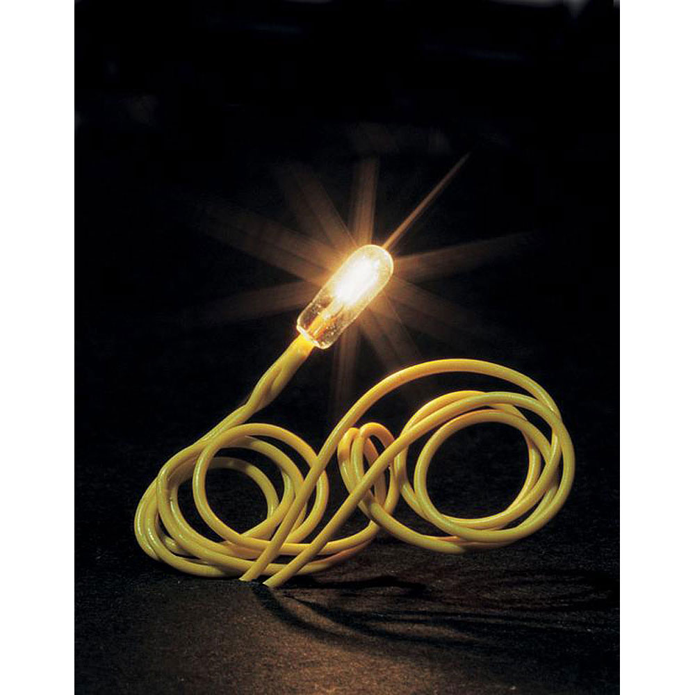 ޥŵ塡ۥ磻ȡˡե顼Ǻࡡ180671