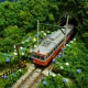 N���������ߥ˥쥤�����ȡ���Ȣ���л�Ŵƻ����ʿ���ƻ��Ƨ�ڡۡ� KDF�������Ѵ����ʡ�1/150������
