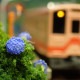 N���������ߥ˥쥤�����ȡ����߱��κ�-1ξ����-�ۡ�KDF�������Ѵ����ʡ�1/150������
