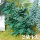 �ꥢ�륰�꡼��C����Ultrareal24����ʪɽ��3D̤�������åȡ�1/24��1003